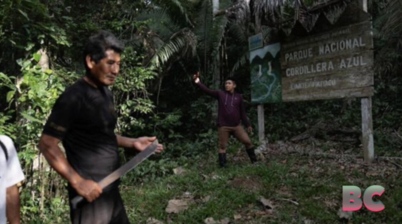 Indigenous community wins, then loses, path to reclaim ancestral rainforest land in Peru