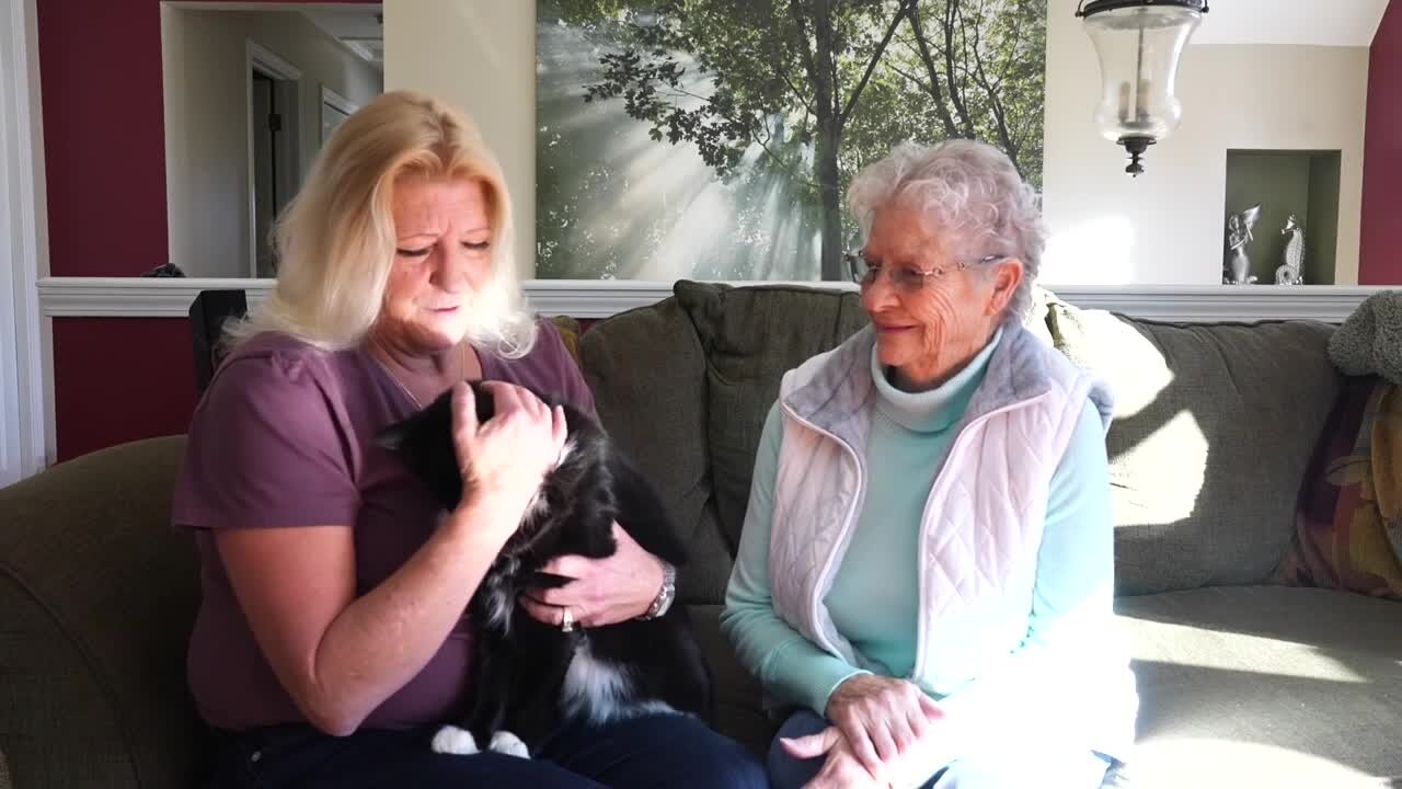 Curiosity got the Cat! Mason residents head to Kentucky to save sisters cat