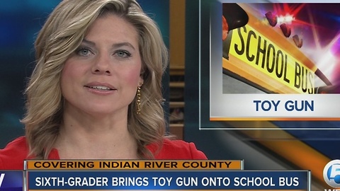 Airsoft gun brought on Indian River County school bus