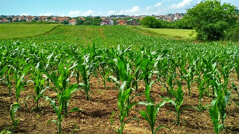 MANDATOS CLIMATICOS BUSCAN APROPIARSE DE GRANJAS