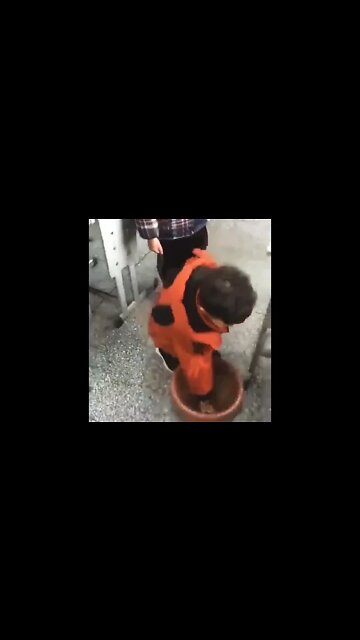 I’ve been doing wrong my entire life👏 #shorts #clips #shortsfeed #shortsvideo