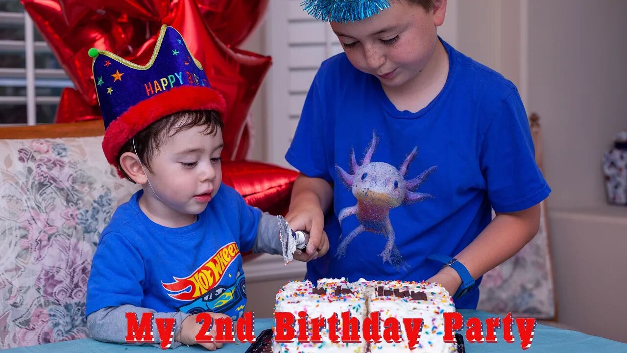 Little brother's 2nd Birthday Party