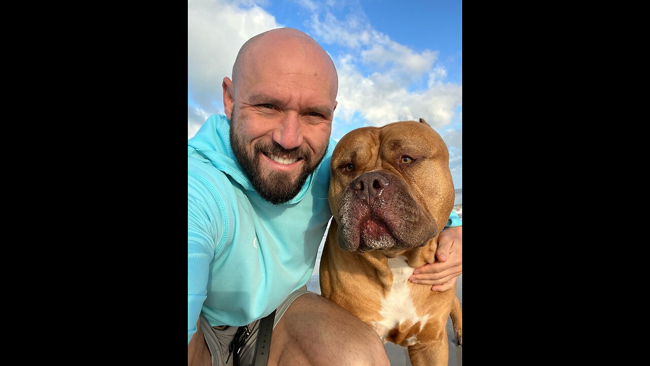 MASSIVE Pit Bull & his bestie hooman beach walk! ☺️🦁