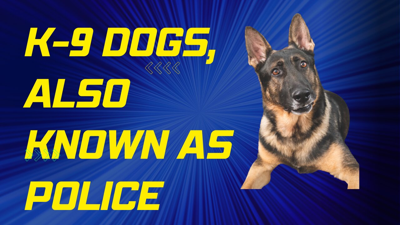 K-9 dogs, also known as police dogs