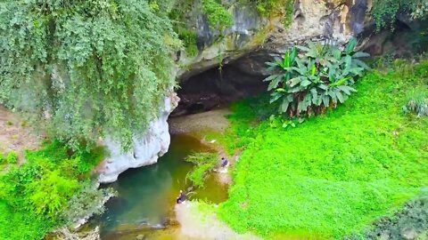 Deep underground river entrance fishing, thrilling, there are a lot of strange fish! /17