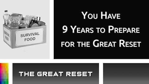 [The Great Reset] You Have 9 Years to Prepare for the Great Reset