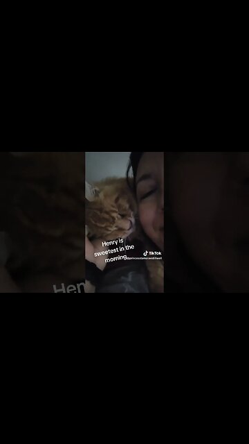 Maine coon Henry so sweet in the morning