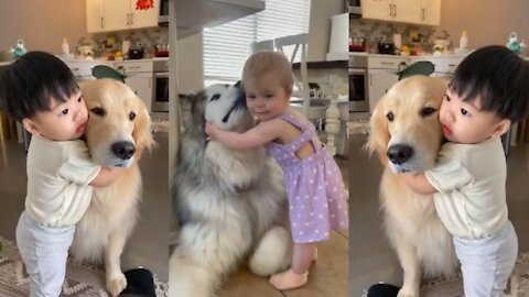 Adorable Babies Love Dog Compilation