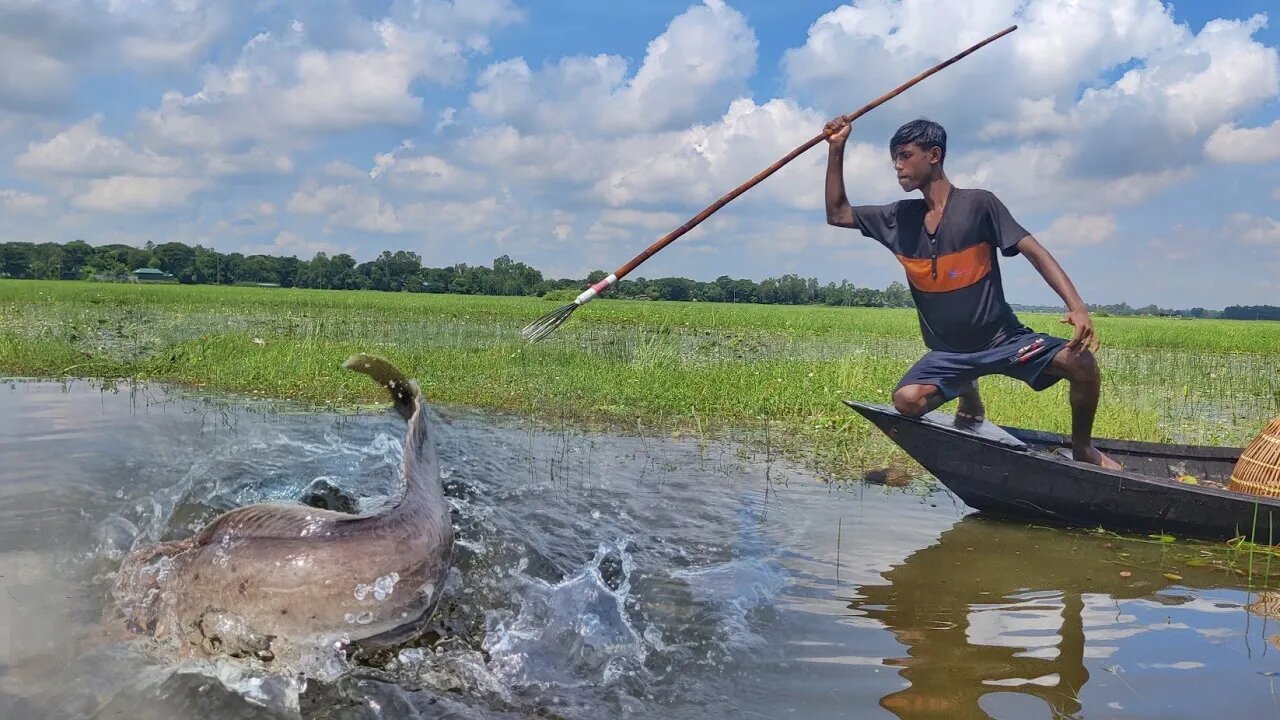 Village Fisherman Are Catch Fish From Boat With Crossbow