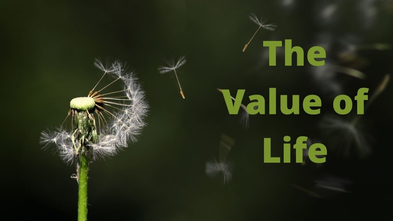 The Value of Life