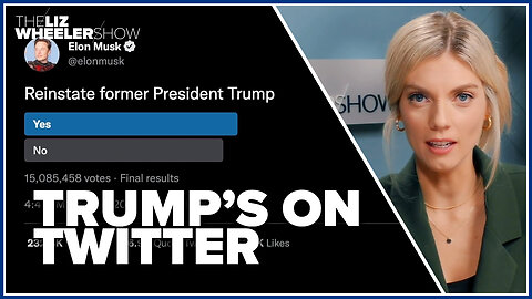 NEW: Musk reinstates Trump on Twitter