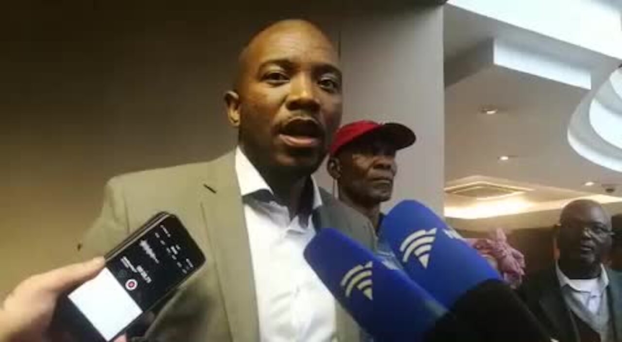 Public Protector ducking and diving with Vrede dairy farm report - DA's Maimane (R3s)