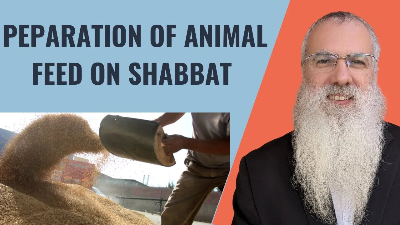 Mishna Shabbat Chapter 24 Mishnah 2 Preparation of animal feed on Shabbat