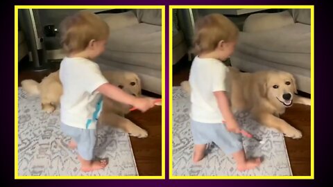 Dog Enjoying | with cute baby | #pets #Entertainment #dog