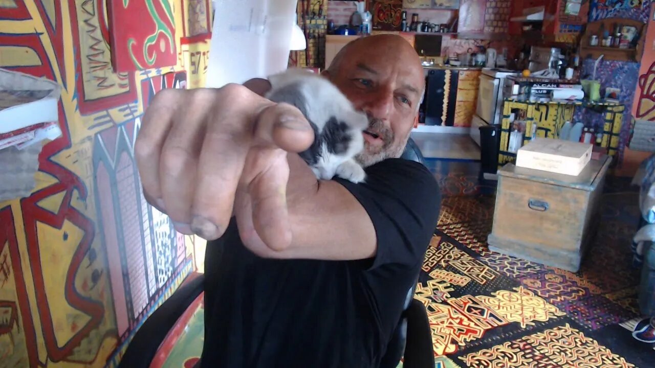 ELEVEN THREE +14 ITS A NATUARAL 33+14=47