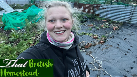 How To Get Ready For Winter: Allotment Gardening