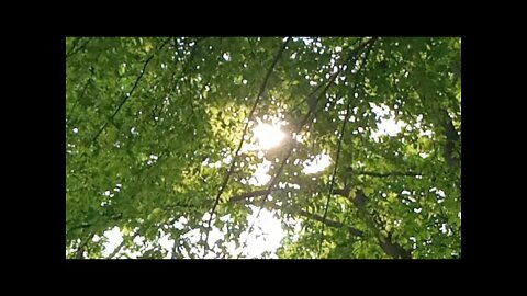 Padre-Pio-Rosenkranz (1. - .5. Gesätzchen) ab 1:50 h
