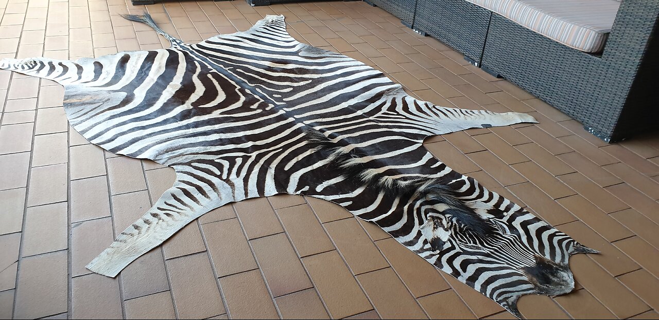 Burchell Zebra Rugs for sale