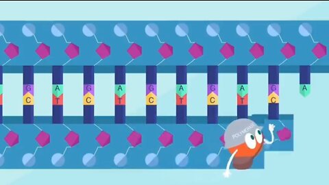 Pierre Capel: Wat doet Spike met DNA reparatie en Tumor vorming