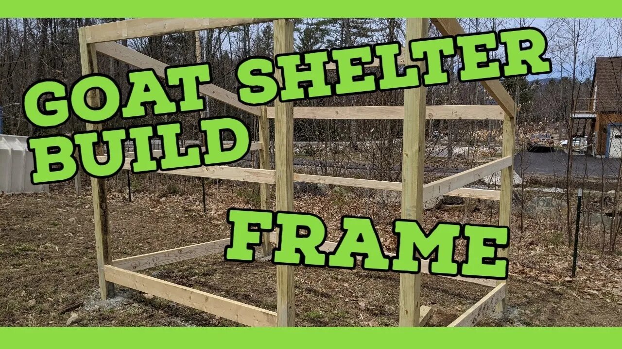 DIY 8X10 Goat Shelter Build |Frame| |Nigerian Dwarf Goats|