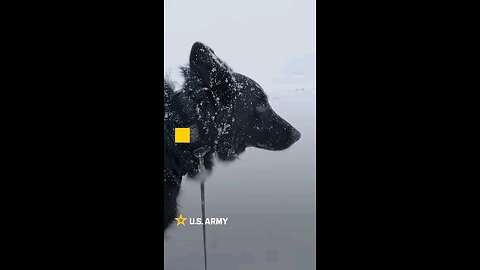 Army Strong