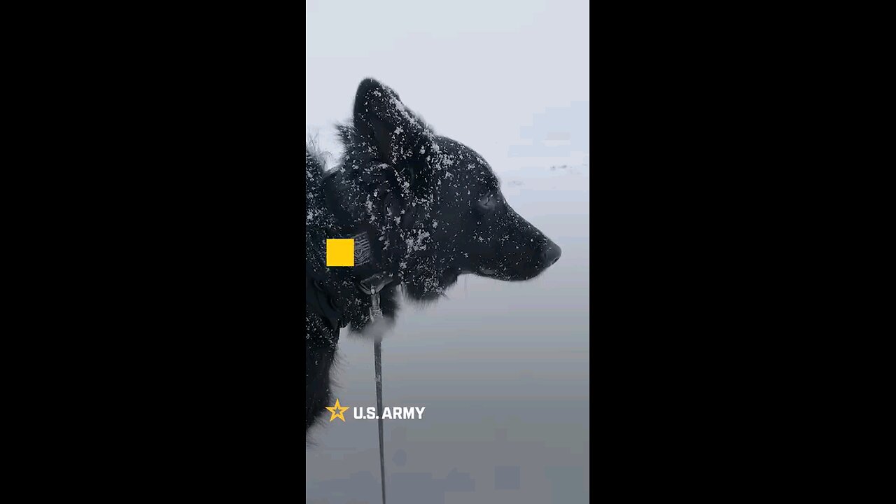 Army Strong