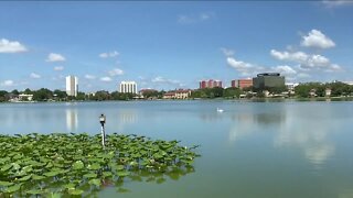 Lakeland's epic Mayfaire-by-the-Lake art festival turns 50 this weekend