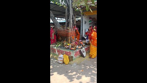 lot of women prayer of banayan tree 🎄