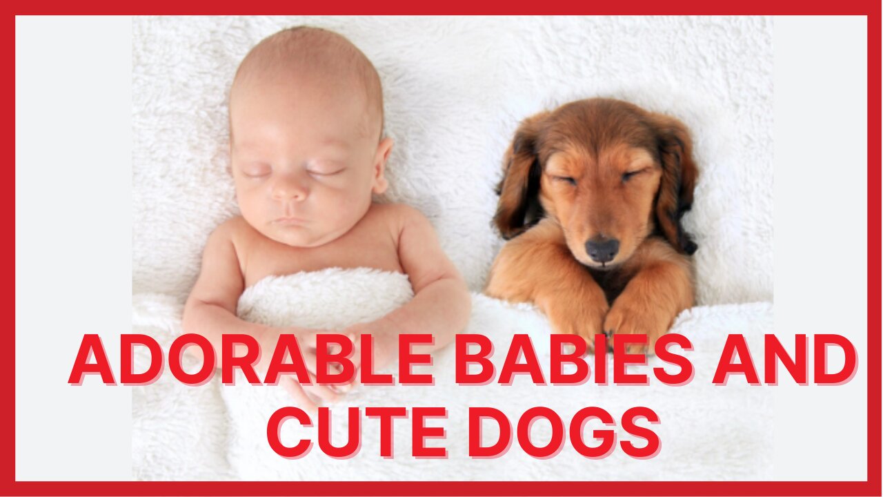 🔴Compilation of Adorable Babies And Cute Dogs 🤣