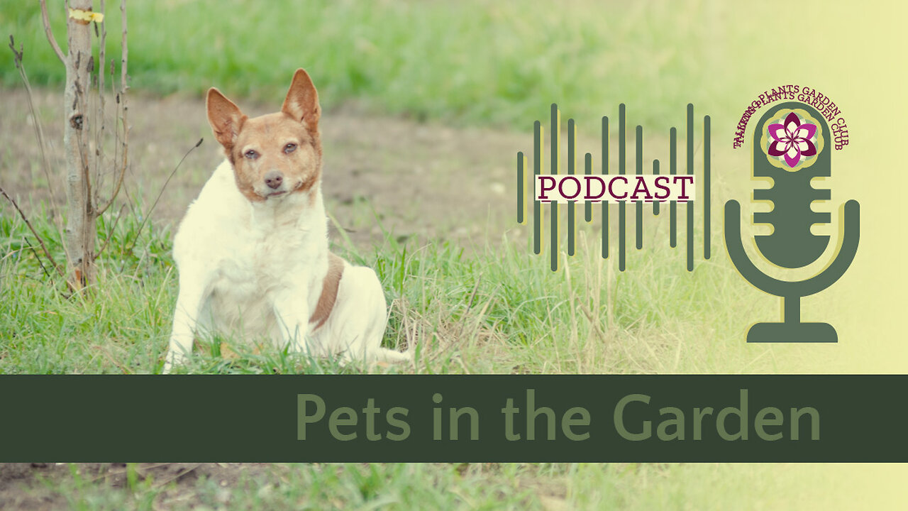 Talking Plants Garden Chat - Pets in the Food Garden