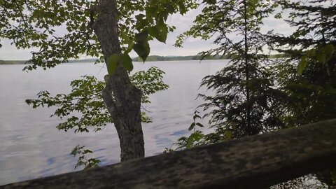 Quite morning on lake Boyd in Maine #shorts