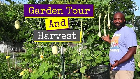 Full Garden Tour & Harvest | July