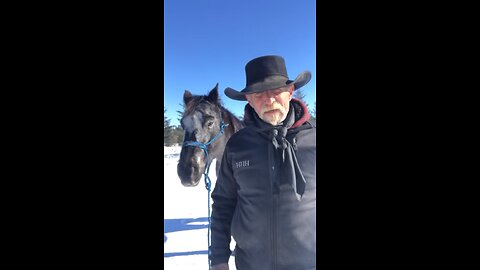 True Canadian🍁Cowboy🤠You👉Look👀Like🤔Your👉Having👀A👉Rough😭Day💥🔥😎