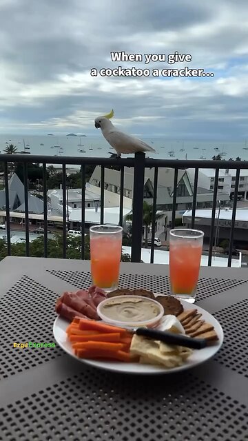 Cuz brought the entire family💀‼️