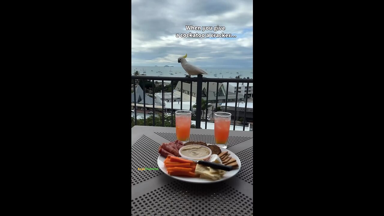 Cuz brought the entire family💀‼️