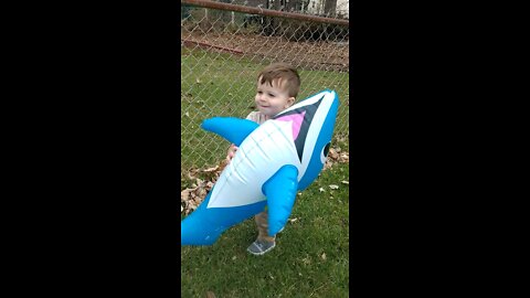 Inflatable Dolphin blew across the yard.