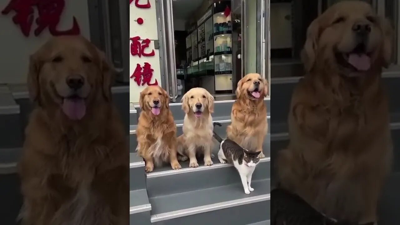 when your friends want a photo with you but you dont😂 😍