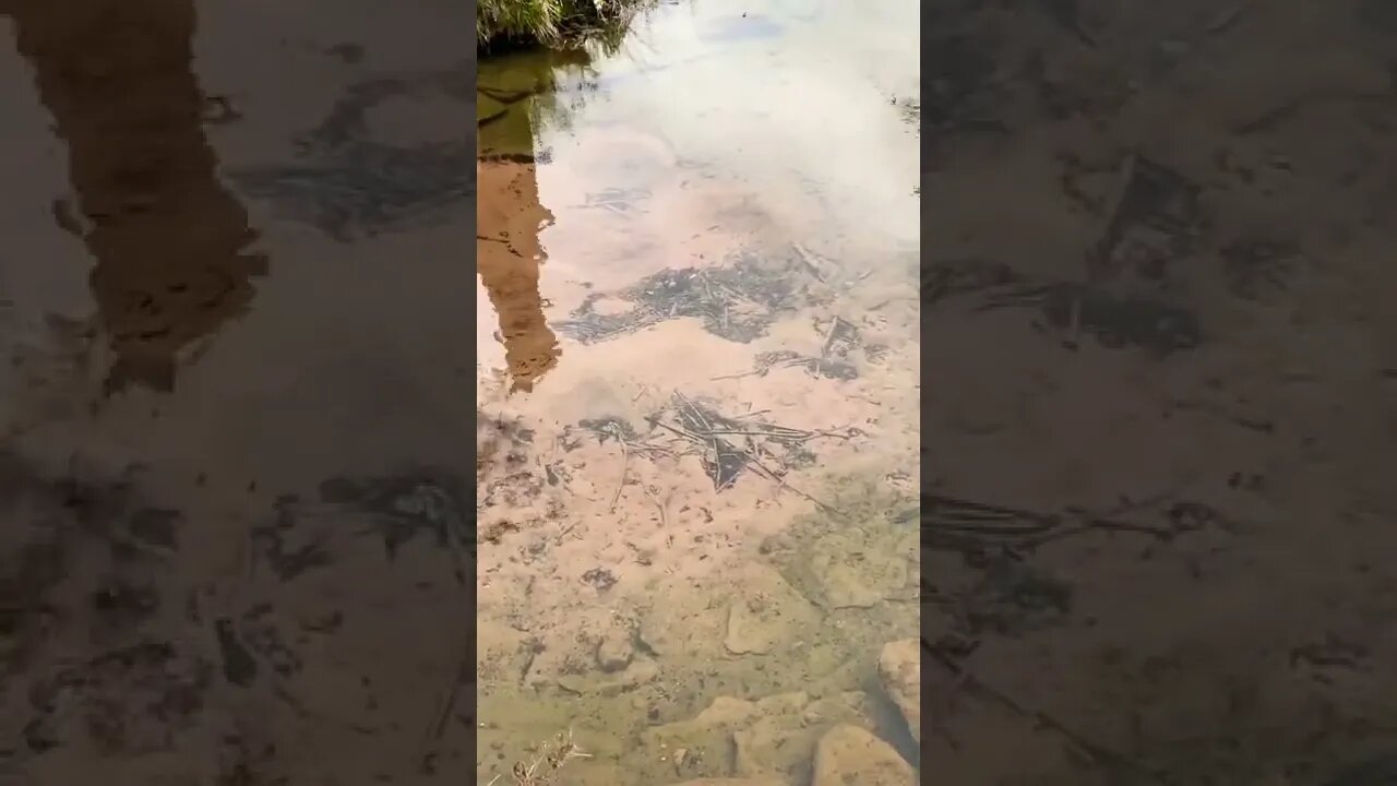 Bubbling springs in Canada