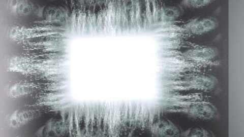 ÆNEMA - TOOL