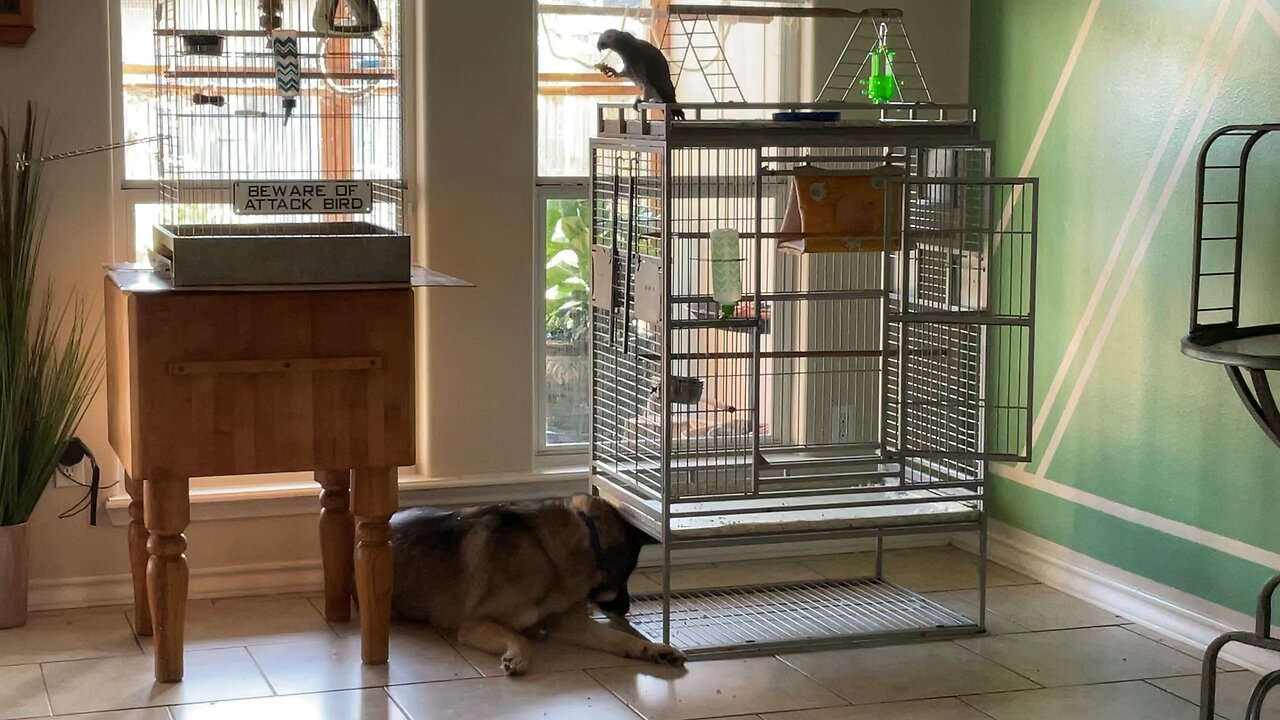 Perfect spot