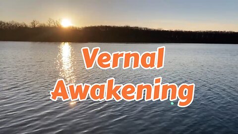 Severed Conscience or Vernal Awakening