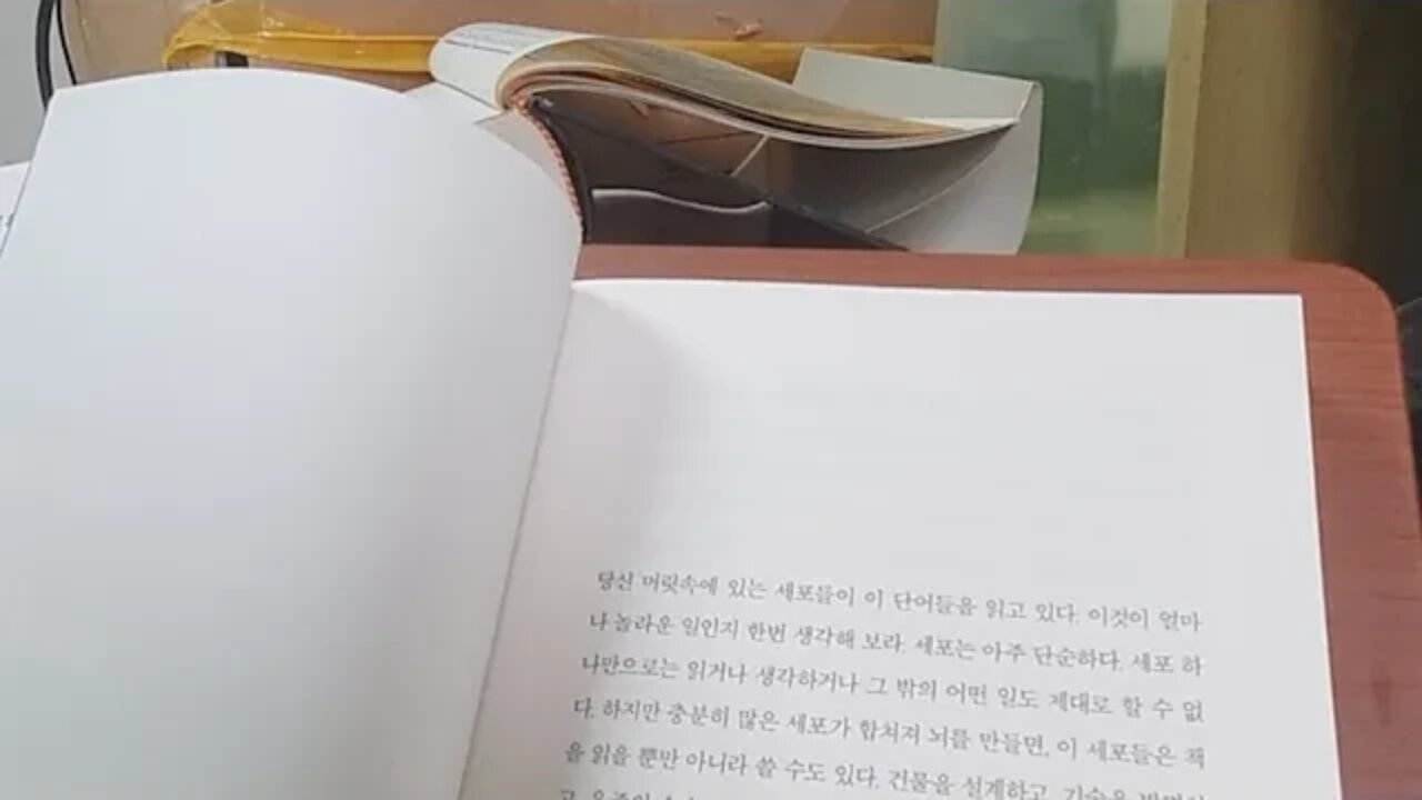 천개의 뇌, 제프 호킨스, 뇌프로젝트, 수수께끼, 프랜시스크릭, 인공지능, 퍼즐조각, 신피질, 세계모형,지능