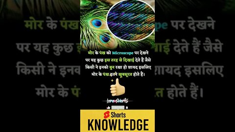 Motivational Quotes Intresting Facts lifestyle & research #shorts #ytshorts #knowledge #motivation