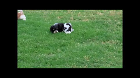 & Then There Were 2 🥺(3)