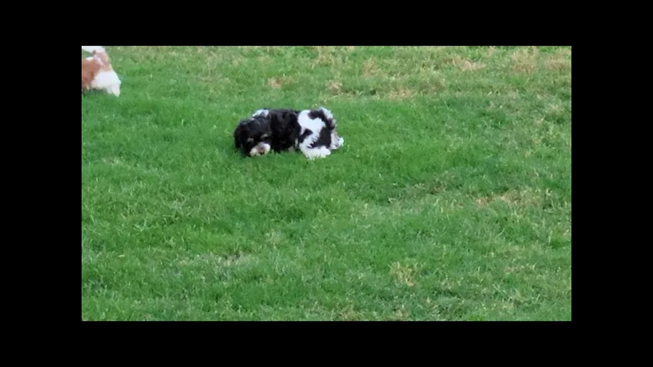 & Then There Were 2 🥺(3)