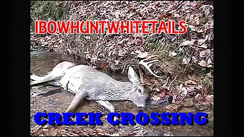 9. Creek Crossing Buck