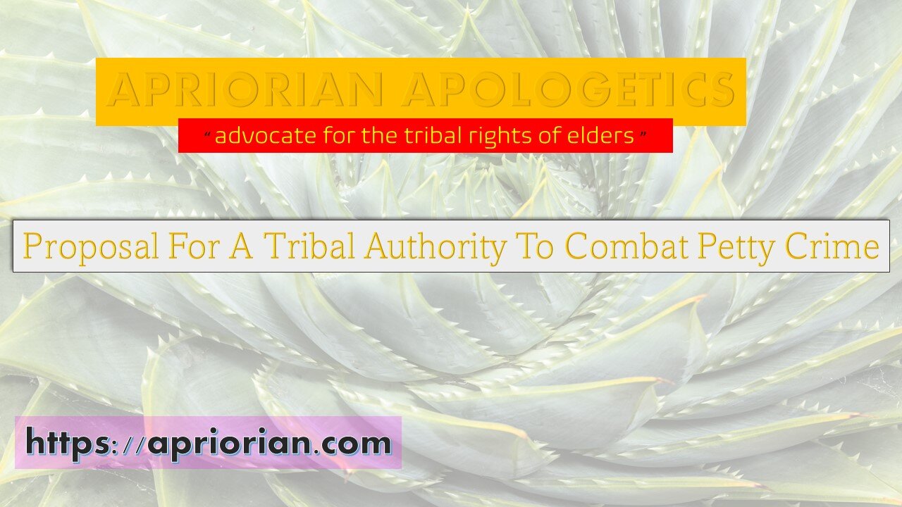 Proposal For A Tribal Authority To Combat Petty Crime