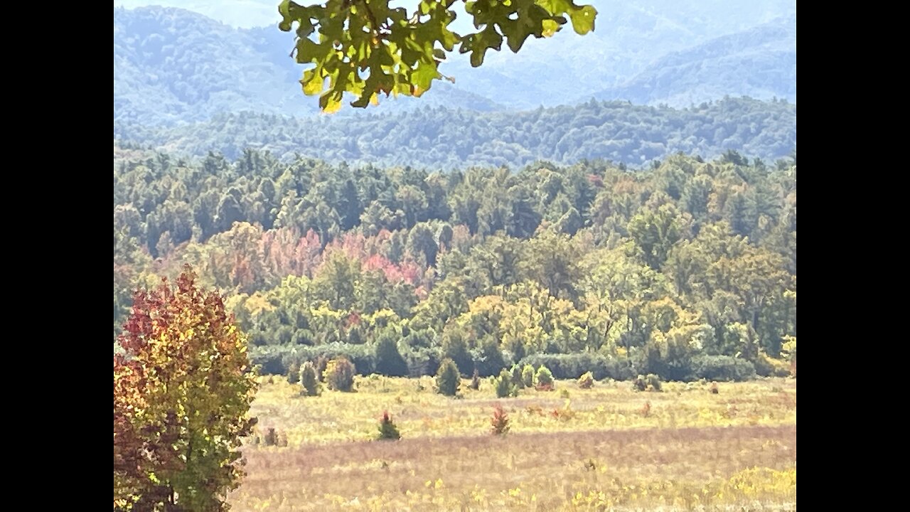 Cades Cove Fall Colors