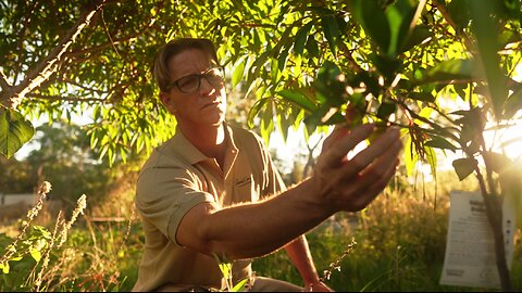 Danial Lawton Permaculture Expert