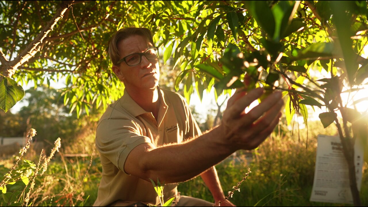 Danial Lawton Permaculture Expert